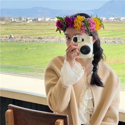 胭脂虎新传